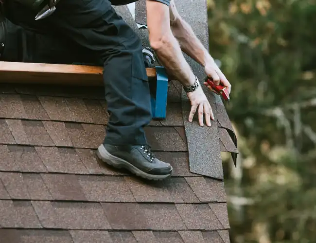 Roofing Maintenance